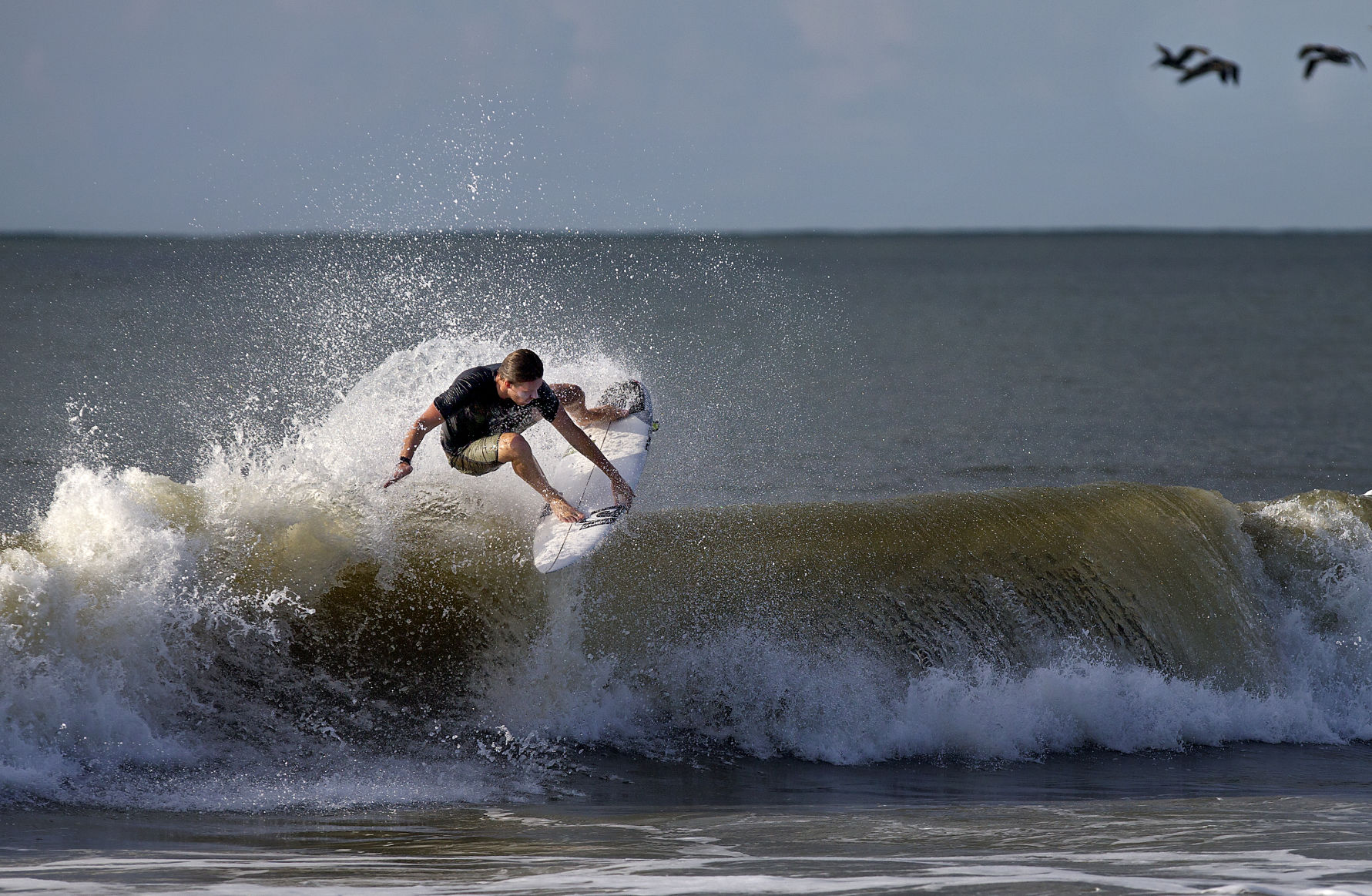 Surfing pelicans.jpg (copy)
